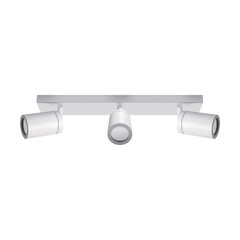 Белый настенно-потолочный светильник STRÜHM, 145x390x60 мм цена и информация | Потолочные светильники | kaup24.ee