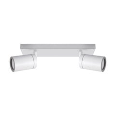 Белый настенно-потолочный светильник STRÜHM, 145x250x60 мм цена и информация | Потолочные светильники | kaup24.ee