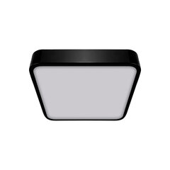 Laealune LED-valgusti Totem must Strühm 55x300x300mm hind ja info | Süvistatavad ja LED valgustid | kaup24.ee
