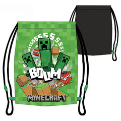 Minecrafti spordikott 37 cm hind ja info | Koolikotid, sussikotid | kaup24.ee