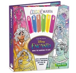 Disney: Encanto цена и информация | Книги для малышей | kaup24.ee