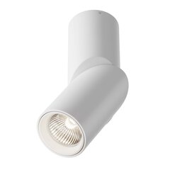 Технический потолочный светильник Maytoni Dafne C027CL-L10W4K цена и информация | Потолочные светильники | kaup24.ee
