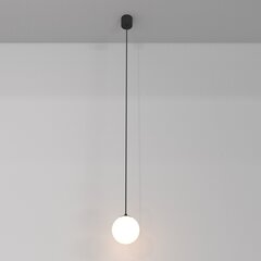Maytoni Технический подвесной светильник Luna P039PL-5W3K-10-B черно-белый цена и информация | Потолочный светильник, 38 x 38 x 24 см | kaup24.ee