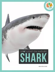 Spotlight on Nature: Shark цена и информация | Книги для подростков и молодежи | kaup24.ee