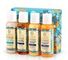 Juukse- ja kehahooldustoodete komplekt Oblepikha Siberica Professional: šampoon 50 ml + juuksepalsam 50 ml + ihupiim 50 ml + dušigeel 50 ml hind ja info | Šampoonid | kaup24.ee