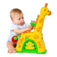 Интерактивная игрушка Moltó цена и информация | Игрушки для малышей | kaup24.ee