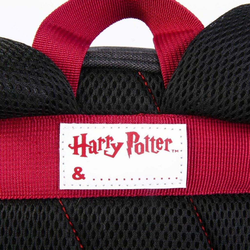 Laste seljakott Harry Potter Must (10 x 15,5 x 30 cm) hind ja info | Koolikotid, sussikotid | kaup24.ee