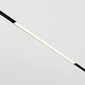 Maytoni Technical Track Lighting Basis TR030-2-12W3K-B Black цена и информация | Süvistatavad ja LED valgustid | kaup24.ee