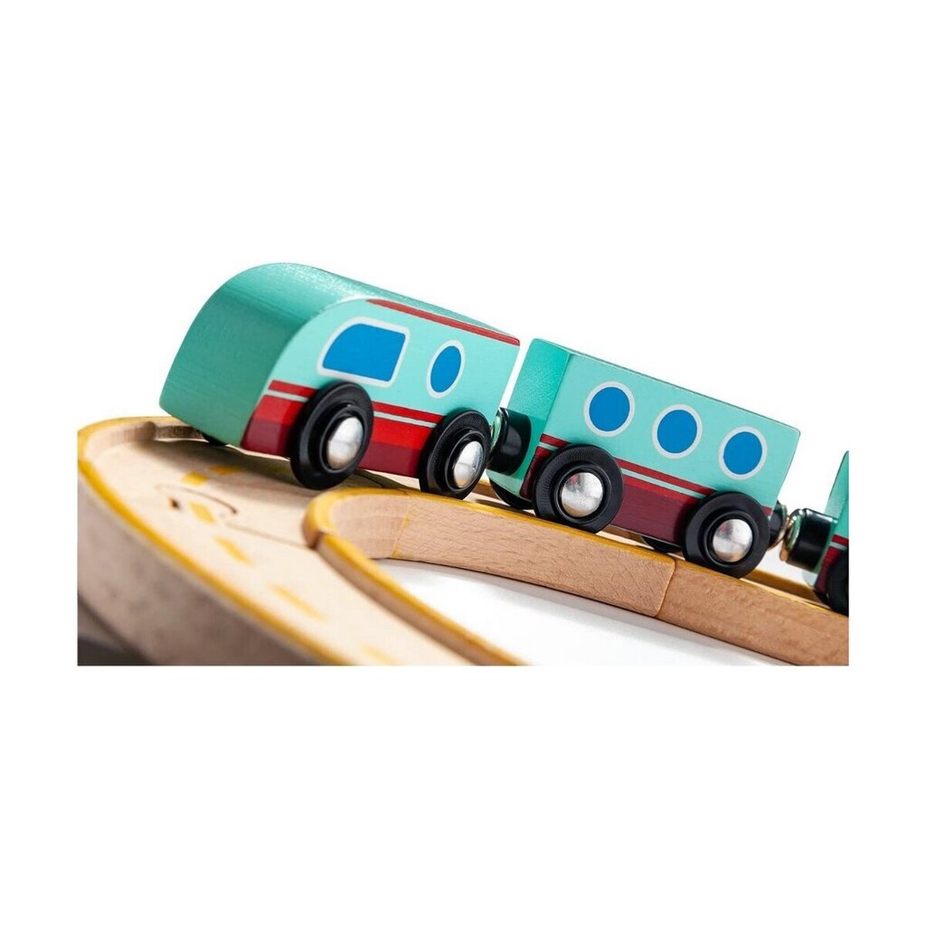 Tõmmatav rong Moltó Puit hind ja info | Imikute mänguasjad | kaup24.ee