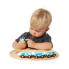 Tõmmatav rong Moltó Puit цена и информация | Игрушки для малышей | kaup24.ee