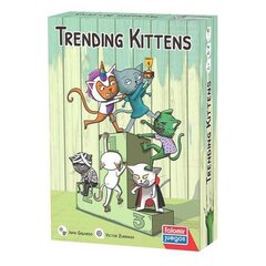 Komplekt Falomir Trending Kittens цена и информация | Настольные игры, головоломки | kaup24.ee