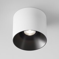 Maytoni Tehniline laevalgusti Alfa LED C064CL-01-15W4K-D-RD-WB Valge ja must цена и информация | Потолочные светильники | kaup24.ee