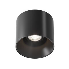 Maytoni Tehniline laevalgusti Alfa LED C064CL-01-25W4K-D-RD-B Must цена и информация | Потолочные светильники | kaup24.ee