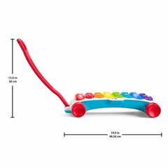 Muusikaline mänguasi Fisher Price Ksülofon hind ja info | Imikute mänguasjad | kaup24.ee