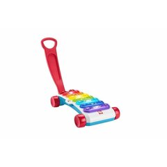 Музыкальная Игрушка Fisher Price Ксилофон цена и информация | Drewniana Wieża Piramida Kura Nakładanie Kolorowych Kwadratów LD-15 15276 | kaup24.ee