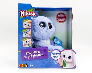 EPEE EP03950a MILUSIE - KOALA INTERAKTIIVNE MASKOT hind ja info | Imikute mänguasjad | kaup24.ee