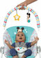 Bright Starts Baby Hammock Bright Starts Mickey Mouse цена и информация | Beebi lamamistoolid | kaup24.ee