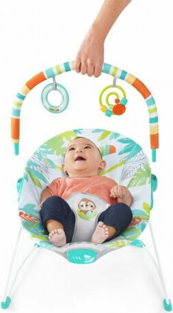 Bright Starts Baby Hammock Bright Starts Rainforest цена и информация | Beebi lamamistoolid | kaup24.ee