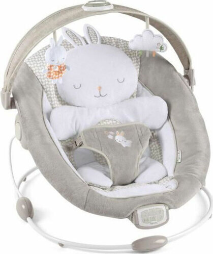 Ingenuity Baby Hammock Ingenuity Twinkle Tails hind ja info | Beebi lamamistoolid | kaup24.ee
