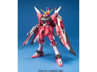 Bandai - MG Gundam Seed ZGMF ∞ Justice Gundam цена и информация | Конструкторы и кубики | kaup24.ee