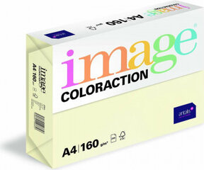 Image Paper Image Cream 250 Sheets Din A4 160 g/m2 hind ja info | Kirjatarbed | kaup24.ee