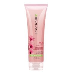 Palsam värvitud juustele Matrix Biolage Aqua-Gel Colorlast 250 ml цена и информация | Бальзамы, кондиционеры | kaup24.ee