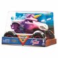 Sõidukite Mängukomplekt Spin Master Monster Jam hind ja info | Poiste mänguasjad | kaup24.ee