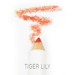 Органический карандаш для губ PHB Ethical Beauty, оттенок Tiger Lily цена и информация | Помады, бальзамы, блеск для губ | kaup24.ee