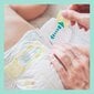 Mähkmed Pampers Premium Care Monthly Pack, suurus 4, 9-14 kg, 174 tk цена и информация | Mähkmed | kaup24.ee