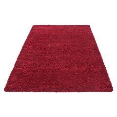 vaip Ayyildiz LIFE red, 160X230 cm hind ja info | Vaibad | kaup24.ee