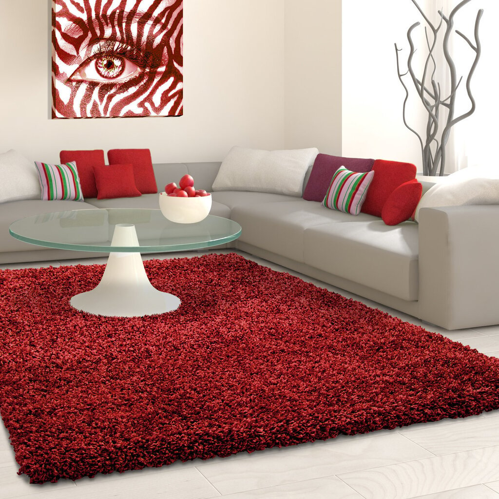 vaip Ayyildiz LIFE red, 160X230 cm hind ja info | Vaibad | kaup24.ee