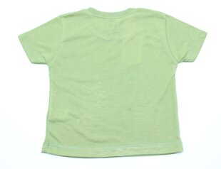 Футболки для мальчиков с короткими рукавами цена и информация | Рубашки для мальчиков | kaup24.ee