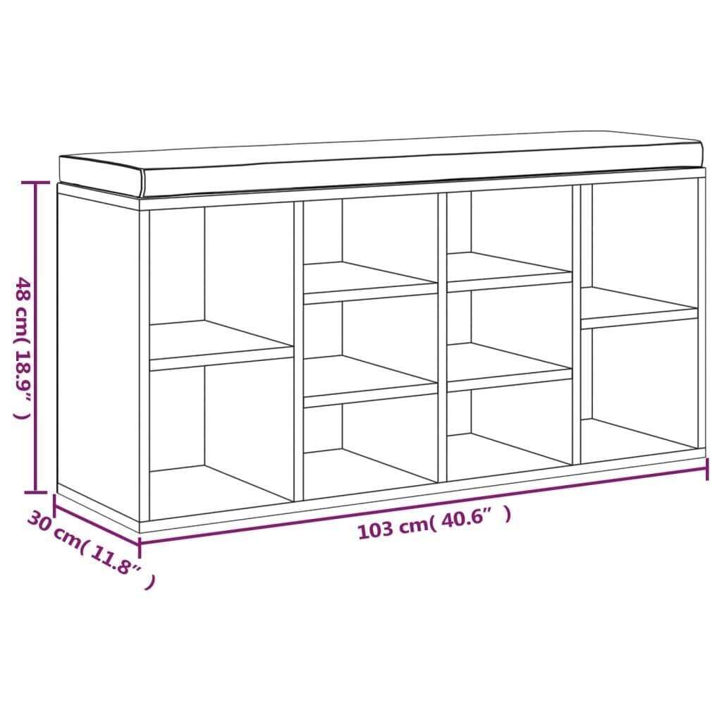 vidaXL jalanõudekapp, betoonhall, 103 x 30 x 48 cm, tehispuit hind ja info | Jalatsikapid, jalatsiriiulid | kaup24.ee