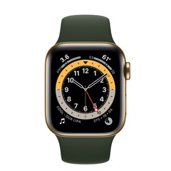 Apple Watch Series 6 40mm Stainless steel GPS+Cellular (Uuendatud, seisukord nagu uus) hind ja info | Nutikellad (smartwatch) | kaup24.ee