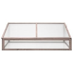 vidaXL kasvuhoone, hall, 110 x 58,5 x 39 cm, nulupuit hind ja info | Kasvuhooned | kaup24.ee