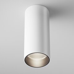 Maytoni Технический потолочный светильник FOCUS LED C056CL-L12W4K-W-D-W белый цена и информация | Потолочные светильники | kaup24.ee