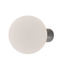 Maytoni Настенный светильник для наружного применения Bold O598WL-01GR1 серый цена и информация | Уличное освещение | kaup24.ee