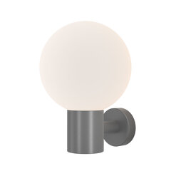 Открытый настенный светильник Maytoni Bold O598WL-01GR серый цена и информация | Уличное освещение | kaup24.ee