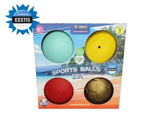 Sports balls set Gerardo's Toys 4pcs GT7714 цена и информация | Игры на открытом воздухе | kaup24.ee