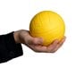 Spordipallide komplekt Gerardo's Toys, 4 tk цена и информация | Vabaõhumängud | kaup24.ee