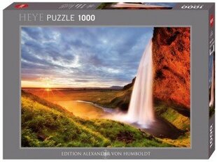 Pusle 1000 Seljalandsfoss Waterfall цена и информация | Пазлы | kaup24.ee