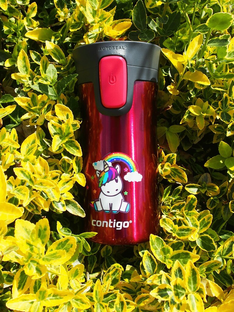 Termokruus, Contigo Pinnacle 300 ml, Vaarikas - Rainbow Unicorn цена и информация | Termosed, termostassid | kaup24.ee