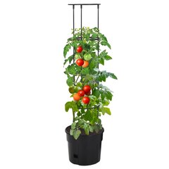 vidaXL tomatitaime kasvupott, antratsiithall, Ø29,5 x 115 cm, PP hind ja info | Dekoratiivsed lillepotid | kaup24.ee