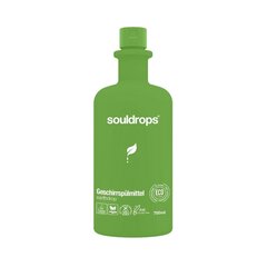 Биоразлагаемое средство для мытья посуды Souldrops с ароматом свежего зеленого чая Earthdrop, 750 мл цена и информация | Гели для посудомоечных машин | kaup24.ee