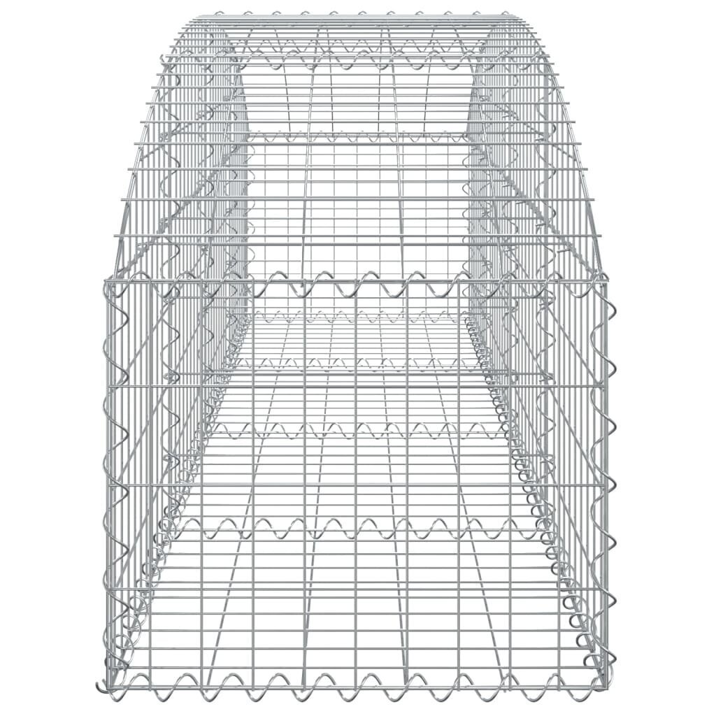 vidaXL kaarekujuline gabioonkorv, 200x50x40/60 cm, tsingitud raud цена и информация | Aiad ja tarvikud | kaup24.ee