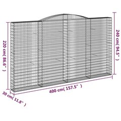 vidaXL kaarekujuline gabioonkorv, 400x30x220/240 cm, tsingitud raud цена и информация | Заборы и принадлежности к ним | kaup24.ee