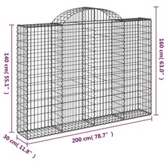 vidaXL kaarekujulised gabioonkorvid 10 tk, 200x30x140/160 cm, raud hind ja info | Aiad ja tarvikud | kaup24.ee