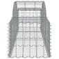 vidaXL kaarekujulised gabioonkorvid 11 tk, 200x50x40/60 cm, raud hind ja info | Aiad ja tarvikud | kaup24.ee