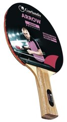 Table tennis bat GARLANDO Arrow 2 starr цена и информация | Ракетки для настольного тенниса, чехлы и наборы | kaup24.ee