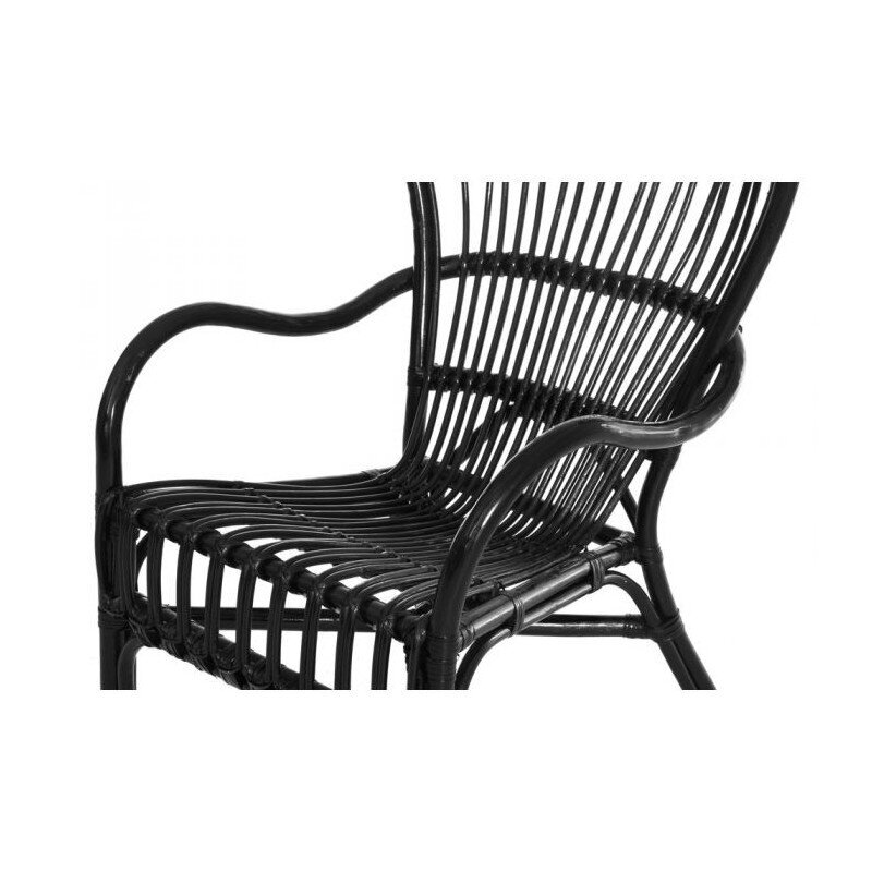 Rotangist tool, must hind ja info | Aiatoolid | kaup24.ee